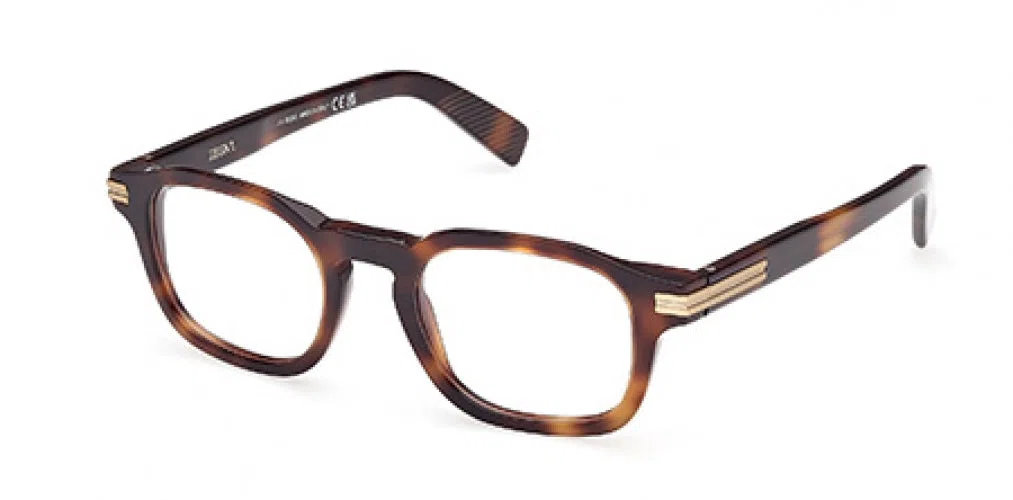 ZEGNA 5293 Eyeglasses - view 4